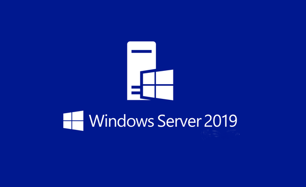 P73-07788 P73-07788 - Microsoft Windows Server 2019 Standard 64Bit OEM 16-Cores License - Image 1