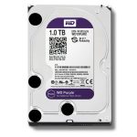 WD10PURX - Western Digital Purple WD10PURX 1TB IntelliPower SATA3/SATA 6.0 GB/s 64MB Hard Drive (3.5 inch)